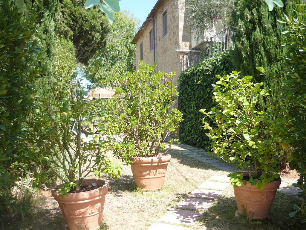 Podere Oliveta Поджібонсі Номер фото