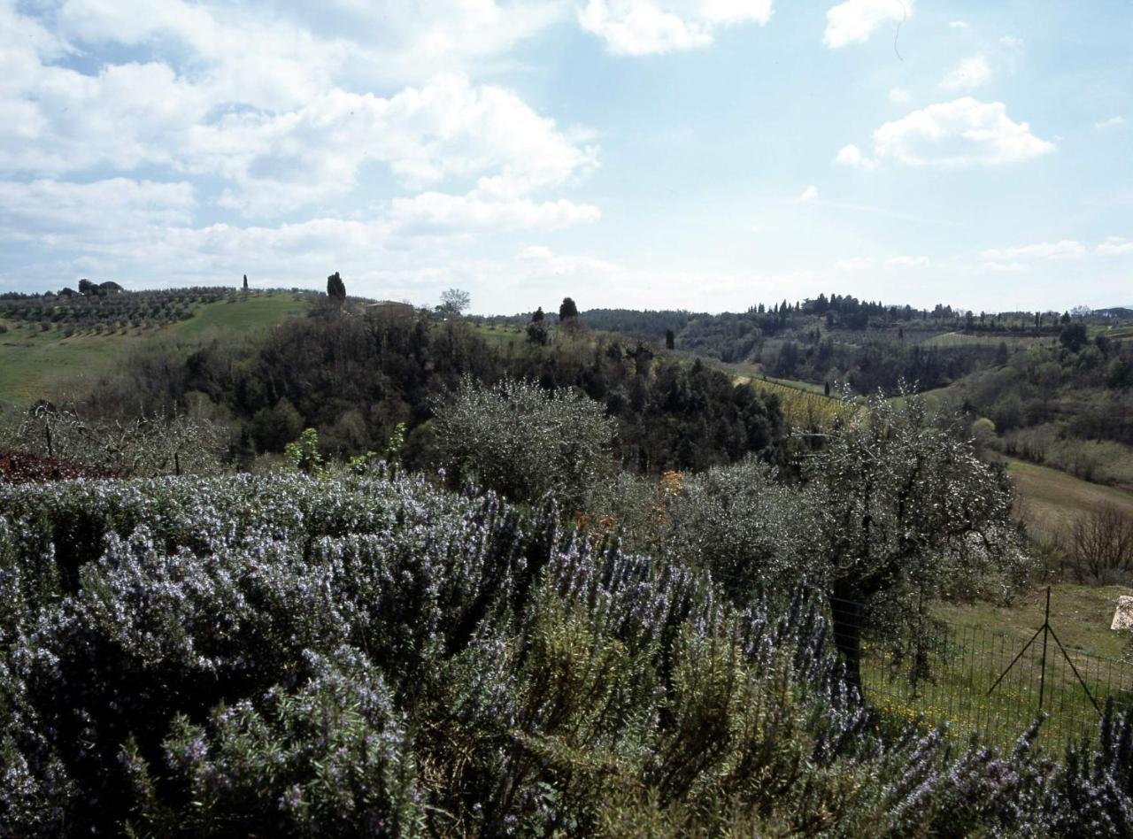 Podere Oliveta Поджібонсі Екстер'єр фото