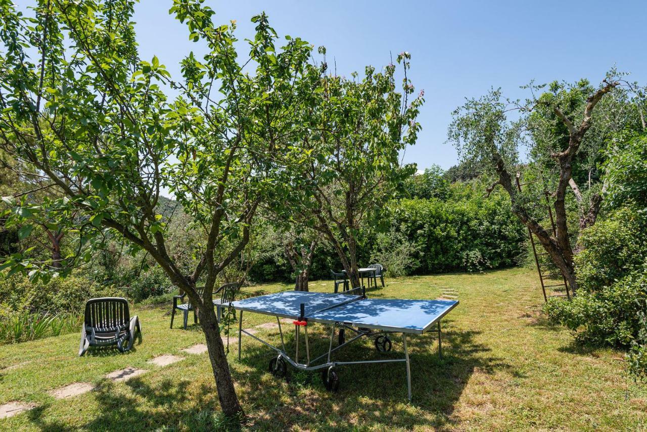Podere Oliveta Поджібонсі Екстер'єр фото
