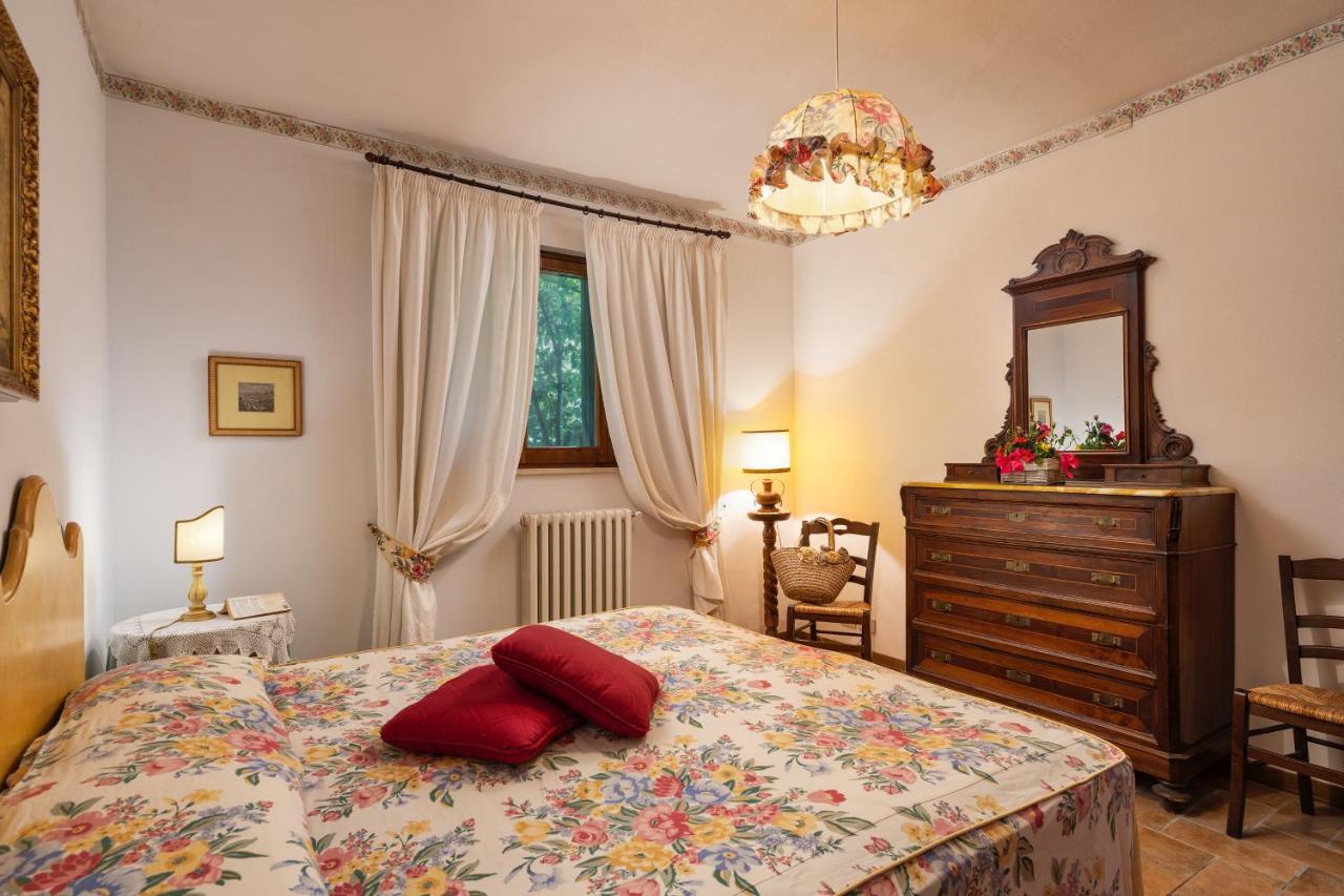 Podere Oliveta Поджібонсі Екстер'єр фото